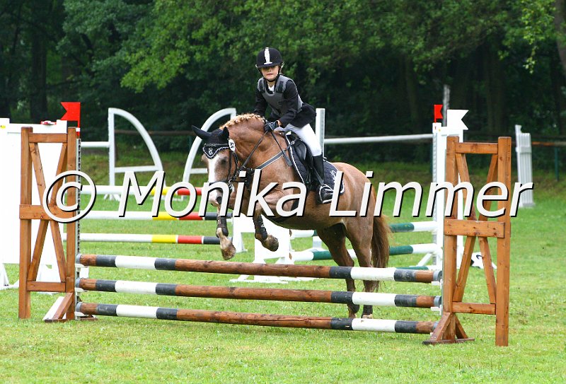 007L7235_Rondo_Springreiter WB_e.JPG